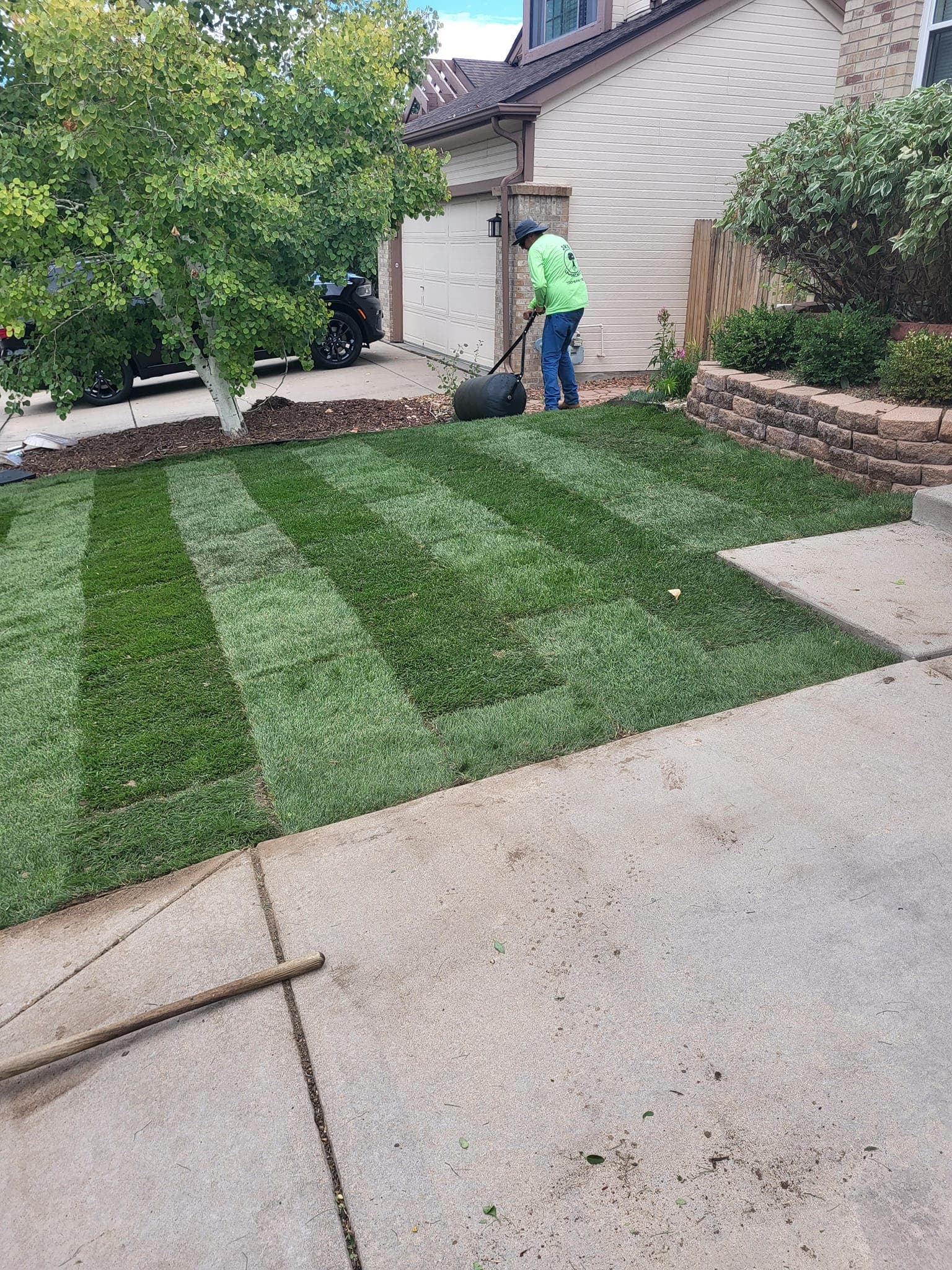 Crew rolling newly installed sod in a front yard